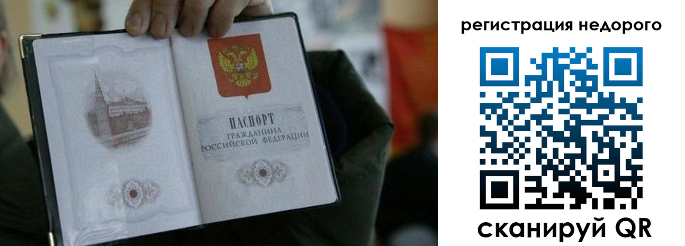 временная регистрация поиск в Курске